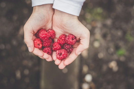 A person holds a handful of fresh raspberries in their cupped hands, the background is slightly blurred.